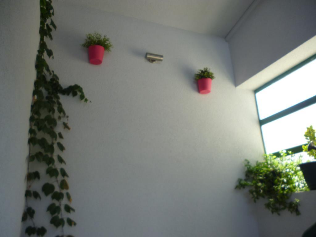 Apartman Duje *